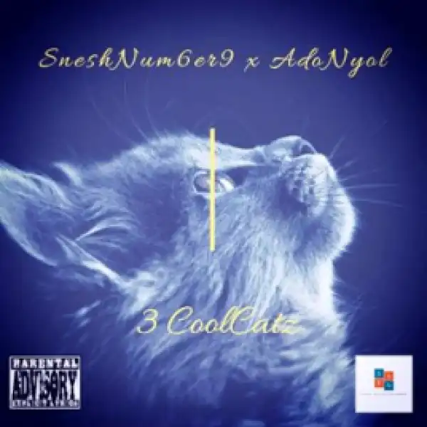 SneshNum6er9 X Adonyol - 3 CoolCatz